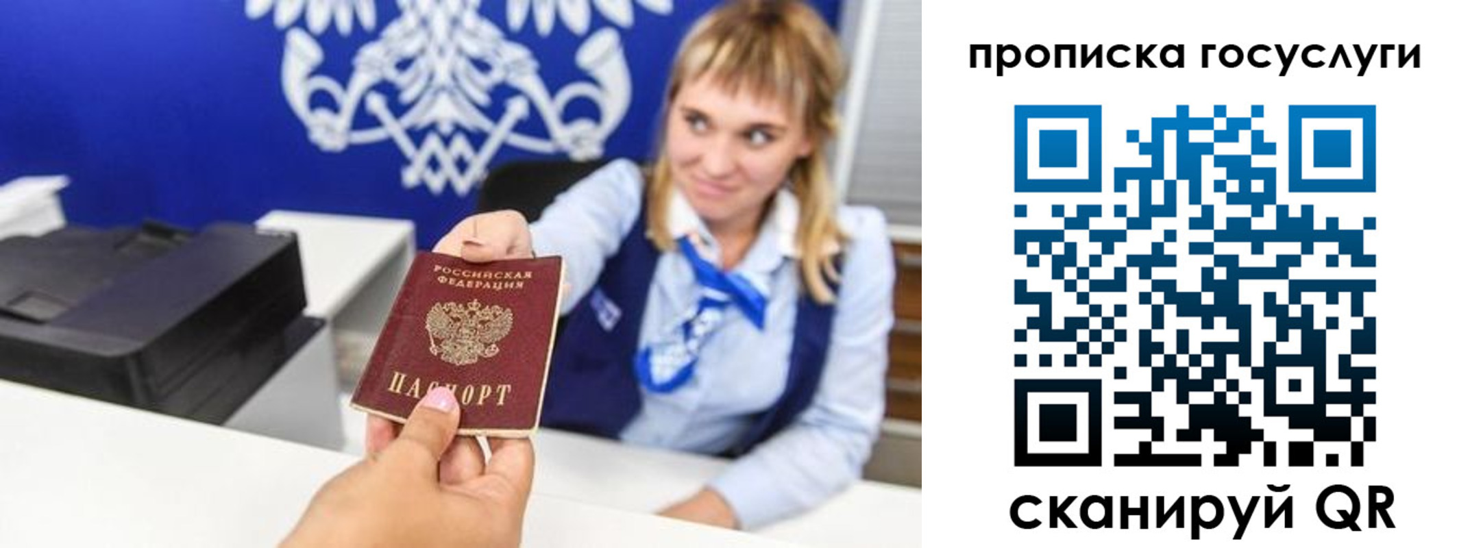 прописка 2025 в Коле